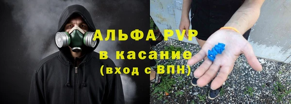 индика Алзамай