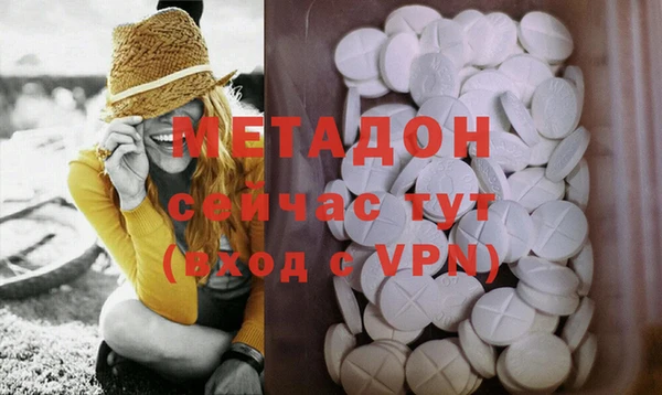 индика Алзамай