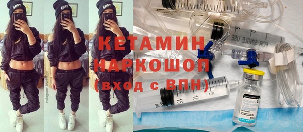 индика Алзамай