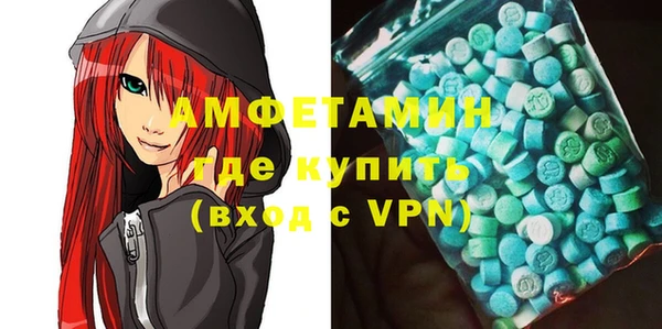 индика Алзамай