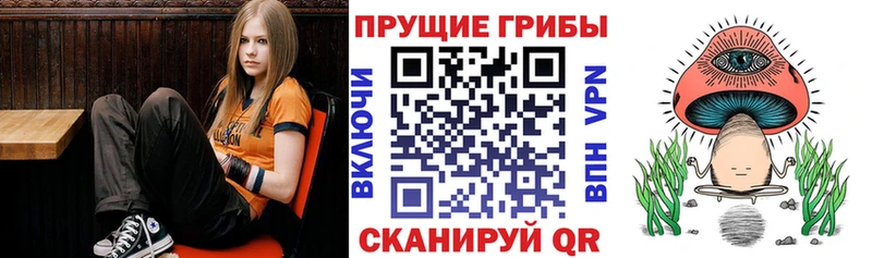 Псилоцибиновые грибы мицелий  Фролово 