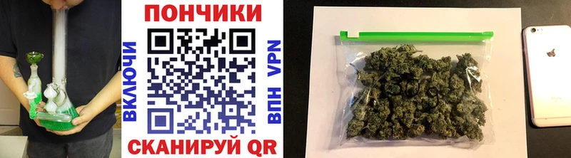 Конопля ГИДРОПОН  купить  цена  Фролово 